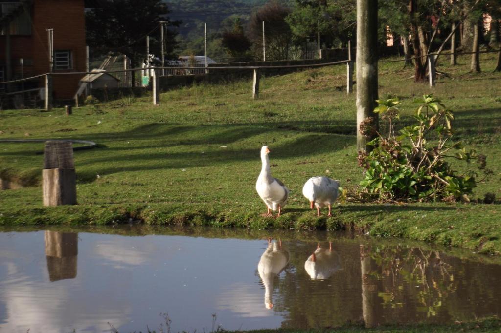 Hotel Fazenda Pampas Canela Ngoại thất bức ảnh
