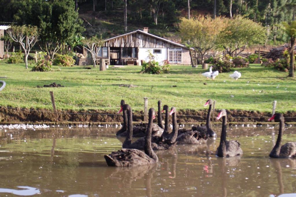 Hotel Fazenda Pampas Canela Ngoại thất bức ảnh