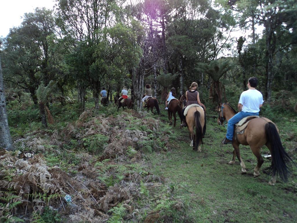 Hotel Fazenda Pampas Canela Ngoại thất bức ảnh